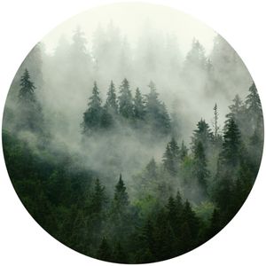 Sticker Kreis BÄUME Nebel Wald Pflanzen Natur Landschaft 3D Aufkleber Wanddekoration für Schlafzimmer Wohnzimmer 100 cm x 100 cm