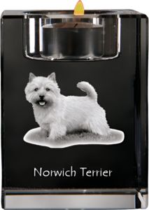 Norwich Terrier - Kerzenhalter mit Hundefoto, Teelichthalter aus Kristall, personalisiertes Geschenk der Marke Art-Dog