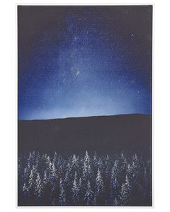 BELIANI Leinwandbild Blau Schwarz Stoff Canvas MDF-Platte 63x93 rechteckig mit Schattenfugenrahmen Nachtlandschaft Wald Sterne Wohnzimmer Schlafzimmer