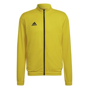 Adidas Bluzy Entrada 22, HI2134, Größe: 188