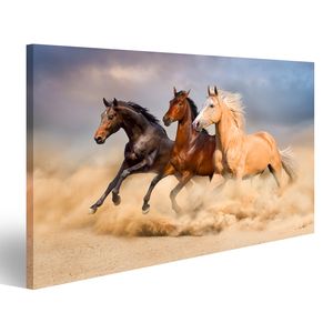 online kaufen Pferde Bilder günstig