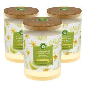 3 x Air Wick Duft Stimmungskerze je 185g Honigmelone & Ylang-Ylang