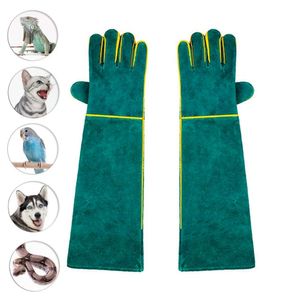 Tier Handschuhe Haustierhandschuhe kratz- / bissfeste Schutzhandschuhe extra lang verdicktes Rindsleder für Hunde Katzen Vögel Wildtiere