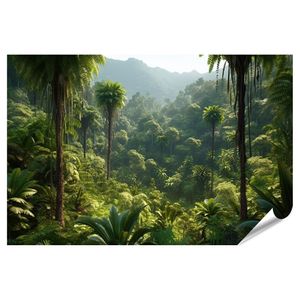 Wildes Dschungel Panorama Tiefer Wald Palmen Tropische Pflan Bilder