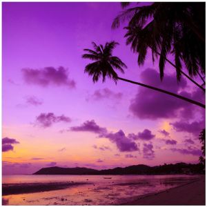 Wallario Premium Glasbild, freischwebende Optik, kräftige Farben, Größe 50 x 50 cm Motiv Sonnenuntergang unter Palmen  Himmel in lila und orange