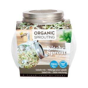 Sprossenglas mitKeimsprossen Salatmischung | Keimsprossenglas von Buzzy Seeds