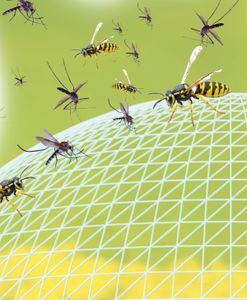 Náhradné tablety do repelentu proti hmyzu Pest Reject Bug Shield