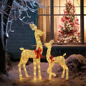 FCH Weihnachtsbeleuchtung LED Rentiere Acryl mit 210 LEDs ，2-teiliges Set