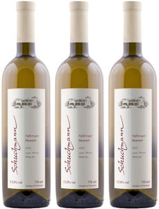 Schuchmann wines Rkatsiteli 2022 gruzínské bílé suché víno (3 x 0.75l)
