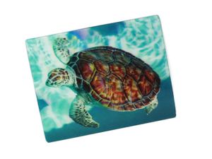 3 D Ansichtskarte Meeresschildkröte, Postkarte Wackelkarte Hologrammkarte Tiere Tier Schildkröte