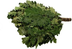 Eichenreisig mit Minze ca. 55-60cm Birkenquast Wenik Sauna Banja