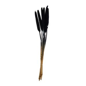 Perlhirse schwarz - Babala - Pennisetum Glaucum - 70x15x5 cm - 10 Stück