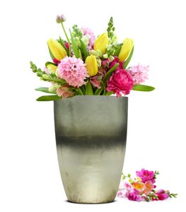 Blumenvase Wahl Tischvase Glasvase Dekovase Vase Blumentopf  Pflanztopf (Grau)