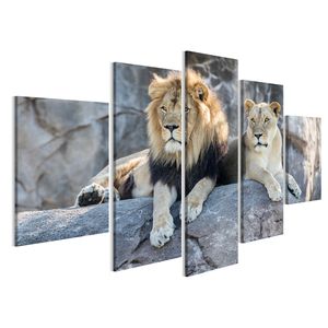 Bild auf Leinwand Männliche Und Weibliche Löwen Sitzt Auf Einem Felsen  Wandbild Leinwandbild Wand Bilder Poster 170x80cm 5-teilig