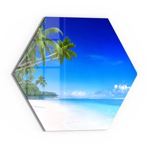 DEQORI Glasbild Echtglas 55x48 cm 'Palmen am Sandstrand' Wandbild Bild modern Deko