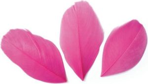 50 geschnittene Federn - Fuchsia 60 mm