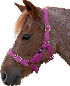 Hy Holly Fully einstellbares Halfter BZ320 (Pony) (Pink)