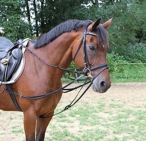 Kerbl Dreieckszügel schwarz, Größe Pferd:Full