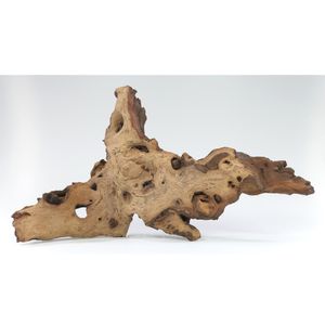 Mopani Wurzel Größe "M" 20-30cm Holz für Aquarium Terrarium Reptilien HardScape Aquaristik Zubehör Nano Garnelen Pflanzen Höhle