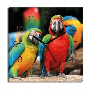 ARA Parrots Leinwand Uhr für Esszimmer 30x30 für Küche