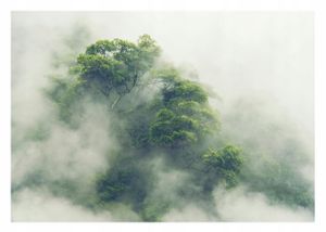 Vlies Fototapete Wald Nebel Dschungel Regenwald Natur (368x254 cm - inkl. Kleister) Wohnzimmer Schlafzimmer Flur Vliestapete Wandtapete Modern Tapete UV-Beständig Montagefertig