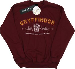 Harry Potter - "Gryffindor Quidditch" Sweatshirt für Damen BI21087 (L) (Burgunderrot)