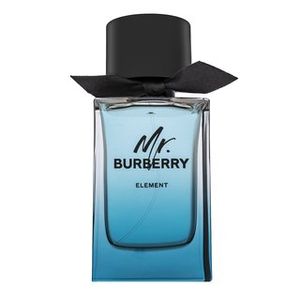 Burberry Mr. Burberry Element Eau de Toilette Spray (150 ml)