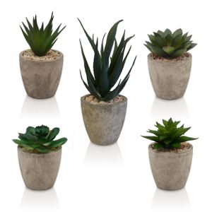 TOREDOO Kunstpflanzen Set mit 5 künstlichen Sukkulenten Deko Pflanzen für Bad Küche Wohnzimmer by Hyggelig Home - 5er Set