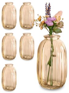 Kleine Glasvasen - 6er Set - Vintage Stil - Runde & Stabile Blumenvasen - Spülmaschinenfest - Perfekt für Hochzeit Tischdeko - Gold