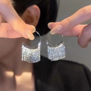 Einzigartiges Design: Dynamische Troddel-Ohrringe - Silber