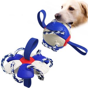2-in-1-Kauknochen für Hunde, Hundefrisbee für Aktivitäten im Freien(Blau)