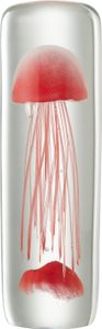 J-line - Briefbeschwerer Qualle Zylinder Rot - 9x9x29,5cm