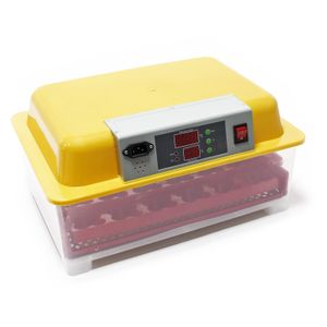 Plně automatický inkubátor 24 vajec povrchový inkubátor inkubátor inkubátor