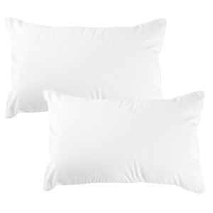 2x Kopfkissen 50x30 cm Innenkissen Steppkissen Mikrofaser Kissen für Allergiker füllkissen Bettkissen Schlafkissen Pillow (Weiß, 2er Set 30 x 50 cm)