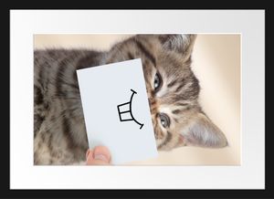 Lustige Katze mit Lächeln auf PapierBilderrahmen mit Galerie-Passepartout / Format: 55x40cm / gerahmt / hochwertige Leinwandbild Alternative