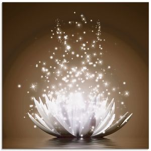 Vadim Georgiev: Magie der Lotus-Blume braun - Glasbild, Größe:50x50 cm / Glasbild