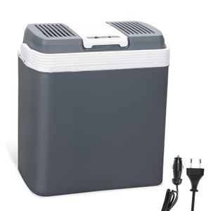 SWANEW Kühlbox elektrisch 24L Mini-Kühlschrank 230 V und 12 V für KFZ Auto Camping kühlt & wärmt | ECO-Modus (Grau)