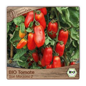 SamenliebeTomaten Samen alte Sorte San Marzano 2 italienische Tomate längliche Romatomate rot 10 Samen samenfestes Gemüse Saatgut für Gewächshaus Freiland und BalkonGemüsesamen