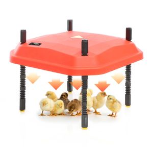 Fudajo Ohřívací deska pro kuřata 40x40cm 42W s regulátorem teploty pro 30-35 kuřat pro umělé líhnutí