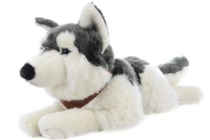 Uni-Toys - Großer Husky mit Geschirr, liegend - 62 cm (Länge) - Plüsch-Hund - Plüschtier, Kuscheltier