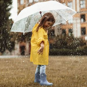 Transparenter Regenschirm Taschenformat