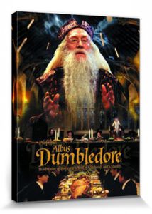 Harry Potter Poster Leinwandbild Auf Keilrahmen - Professor Albus Dumbledore (40 x 30 cm)