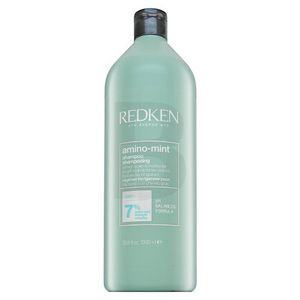 Redken Amino-Mint Shampoo Reinigungsshampoo für Kopfhaut 1000 ml