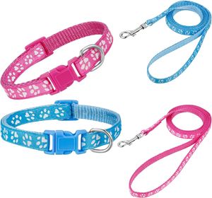 Leap 2er-Pack Welpenhalsband mit Leine, Hundehalsband und Leine, verstellbares Hundehalsband, weiches Nylon-Haustierhalsband für Welpen, kleine Hunde, mittelgroße Hunde (2er-Pack – Blau – Rosa)