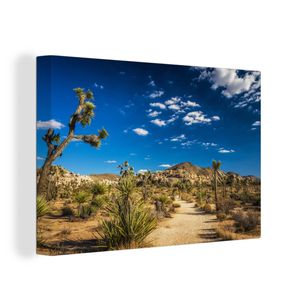 OneMillionCanvasses® - Maľba na plátne - Obraz na plátne Nástenná maľba na plátne - Letný deň v národnom parku Joshua Tree - 60x40cm - Fotografia na