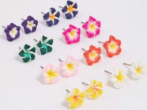 Lovisa - Frangipani Ohrstecker aus glänzendem Kunststoff 8er-Pack