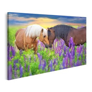 Bild auf Leinwand Zwei Palomino Pferde Im Lavendel Blütenfeld Kinderzimmer Wandbild Poster Kunstdruck Bilder 100x57cm 1-teilig