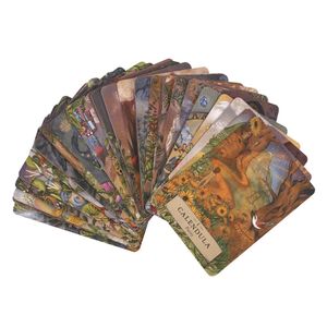 Adriana Ayales Der Kräuter-Astrologe Tarotkarten SD4593 (Einheitsgröße) (Bunt)