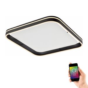 Deckenleuchte Paul Neuhaus Q-Vito LED Smarte Deckenlampe Anthrazit Deckenleuchte Paul Neuhaus Q-Vito LED Smarte Deckenlampe Anthrazit