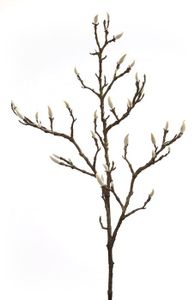 Fink Kunstblume Magnolienknospenzweig dunkelbraun Kunstfasern Höhe  cm